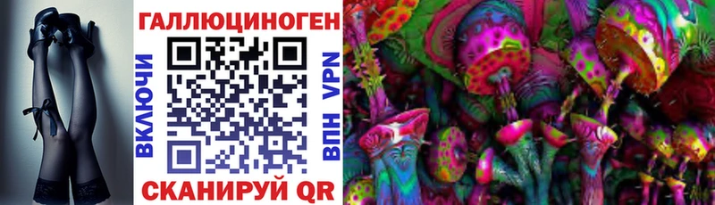 Купить  Наволоки  Псилоцибиновые грибы Cubensis 